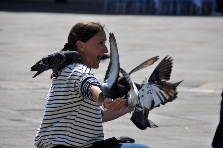 woman feeding pigeons in venice