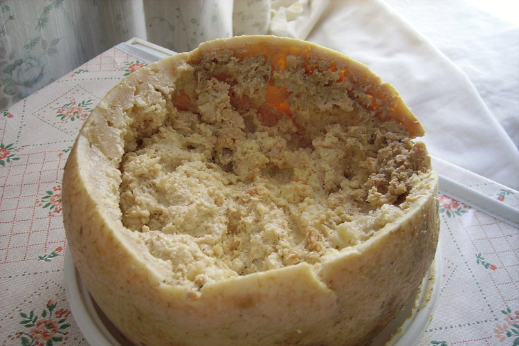 casu marzu