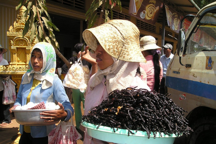 fried tarantulas cambodia